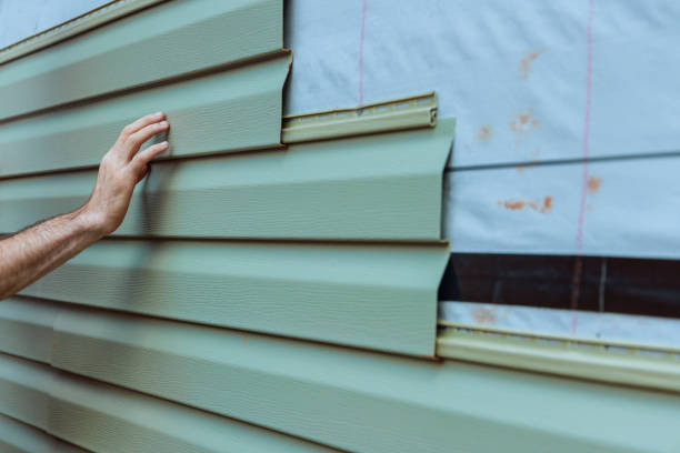 Best Custom Siding Design  in Siloam Springs, AR
